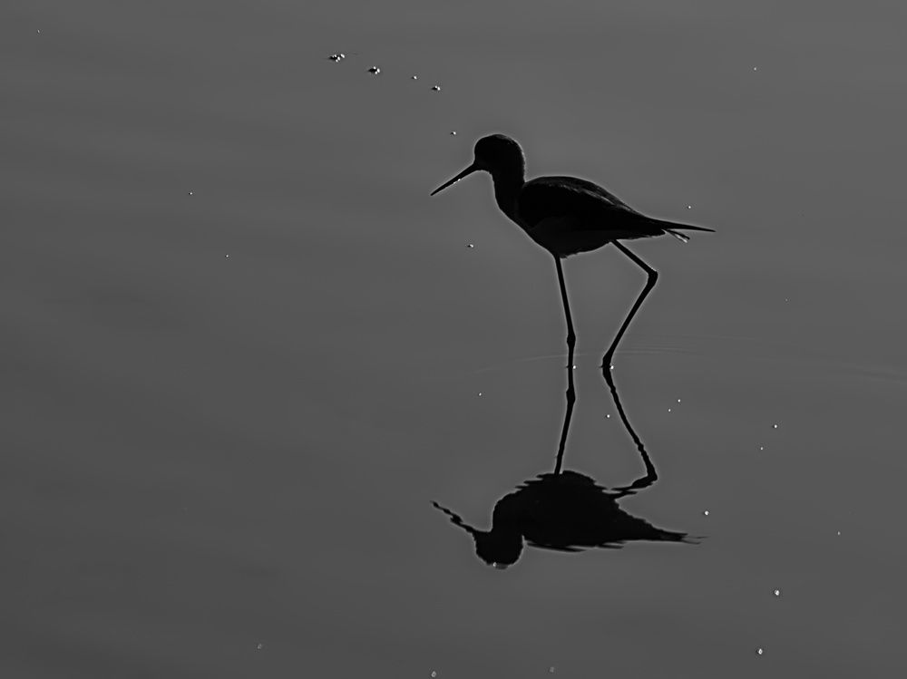 Photograph by Moulay Ahmed KASSI