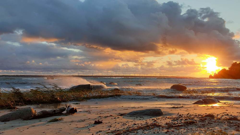 Photograph by Елена Блинова