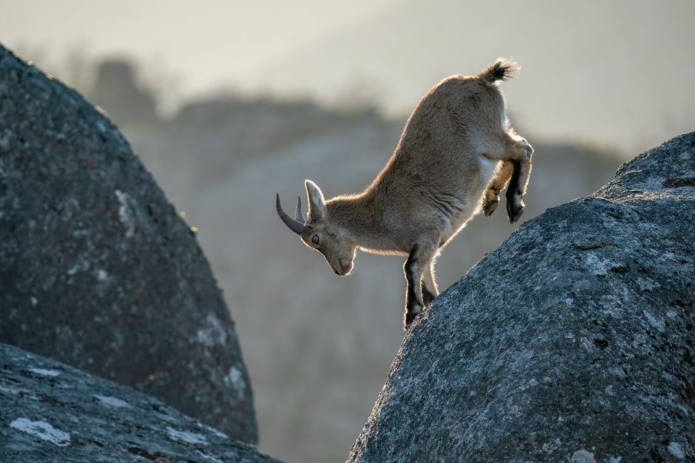 Photograph by Norberto Esteves