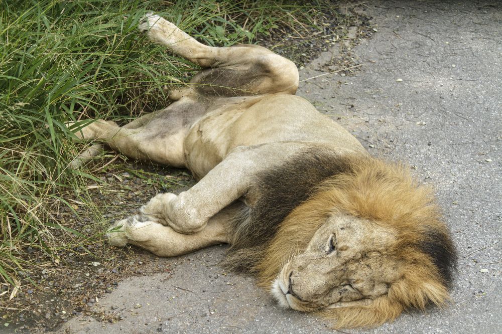 Photograph by Carla Salanova