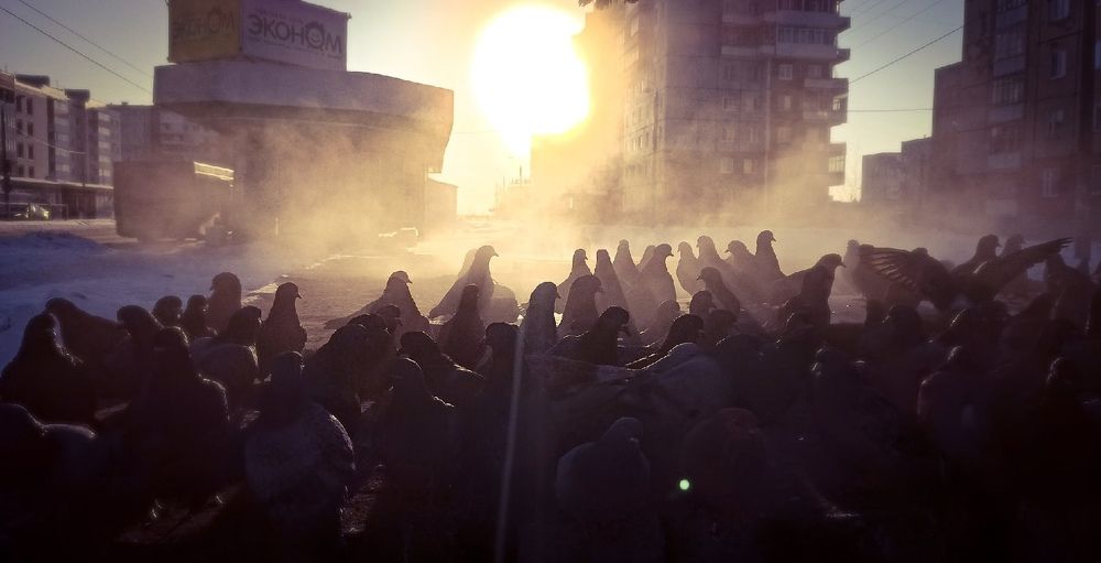 Photograph by Valerdefd