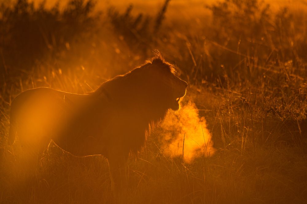 Photograph by Deepa Girish