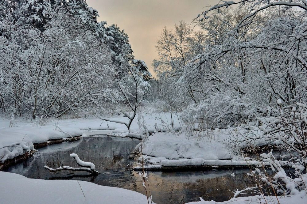Photograph by Татьяна Полянская