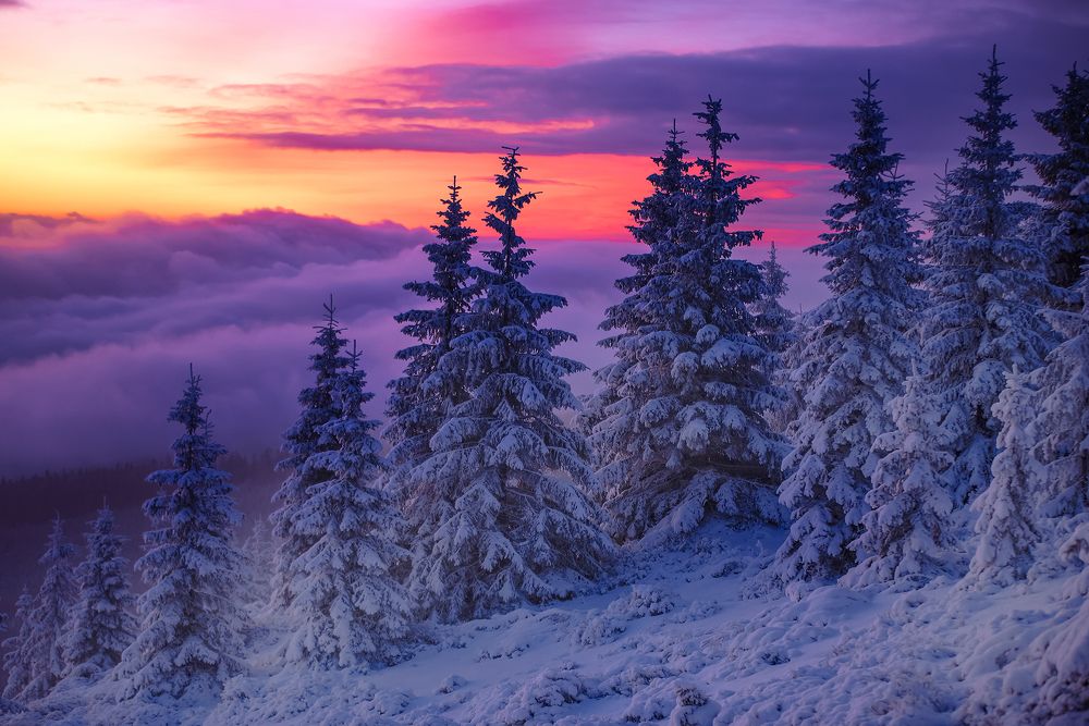 A winter hike at sunrise.