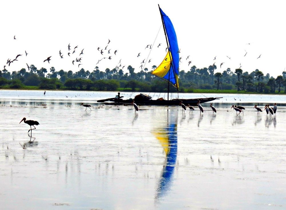 Photograph by sathya narayanan