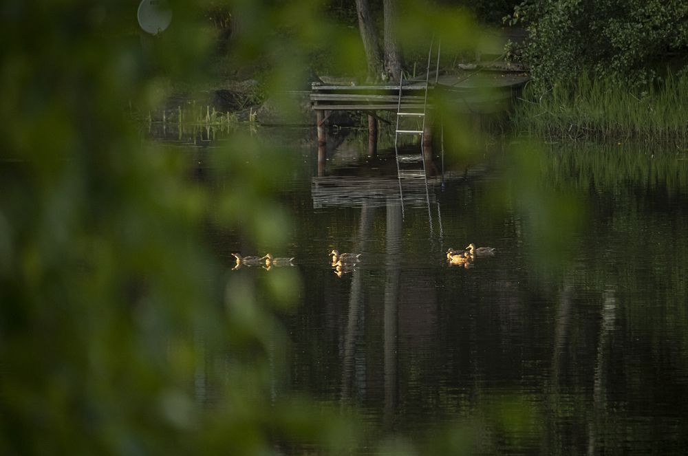 Photograph by Юлия Куликова