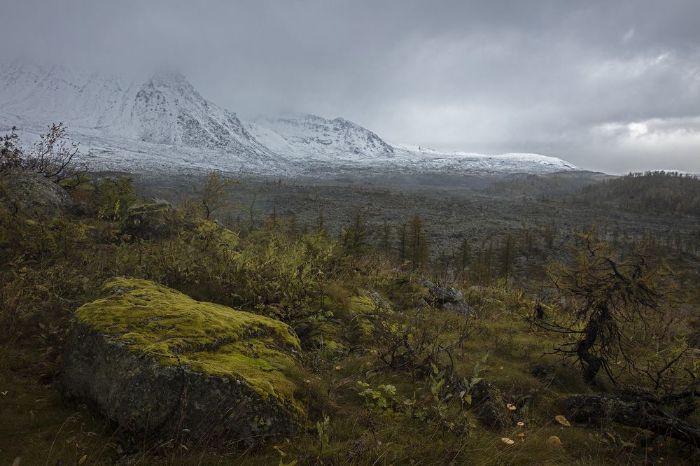 Photograph by Владислав Костылев