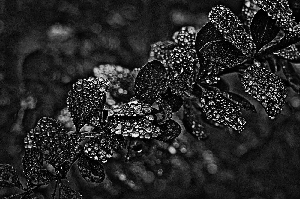 Photograph by Вадим Кондрат