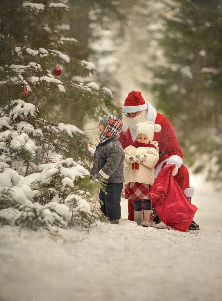 В зимнем лесу