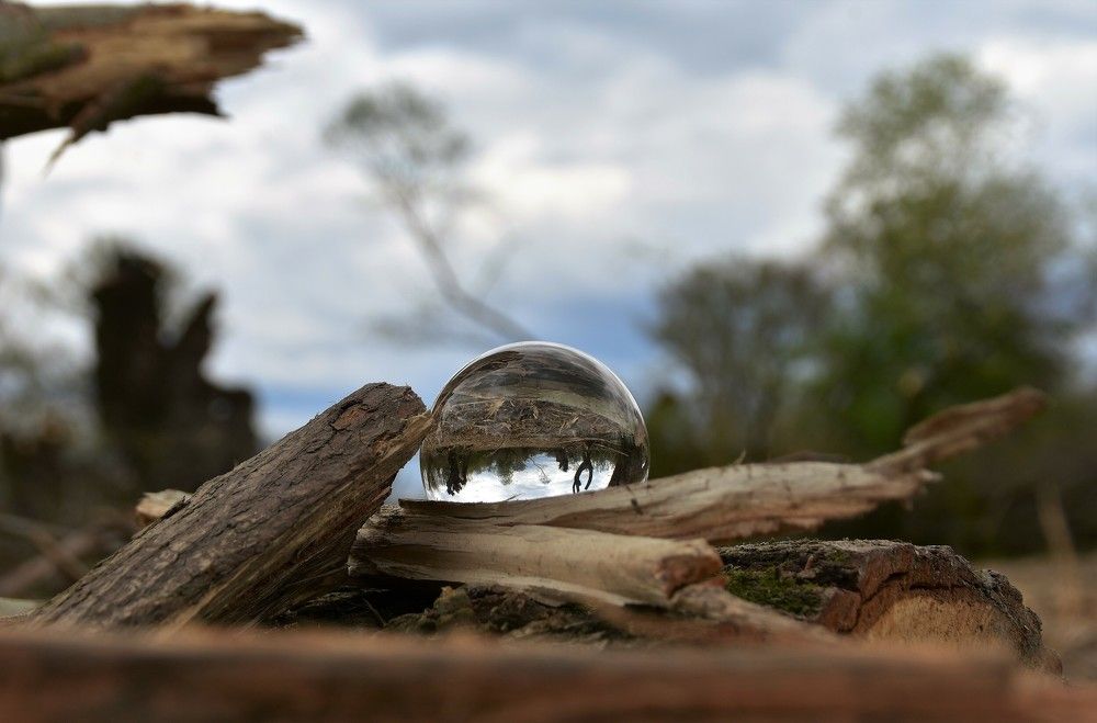 Photograph by Gizela Halászová