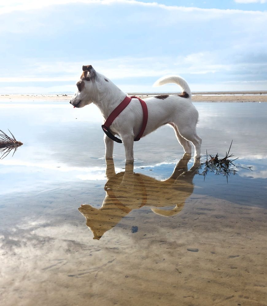 Photograph by Валентина