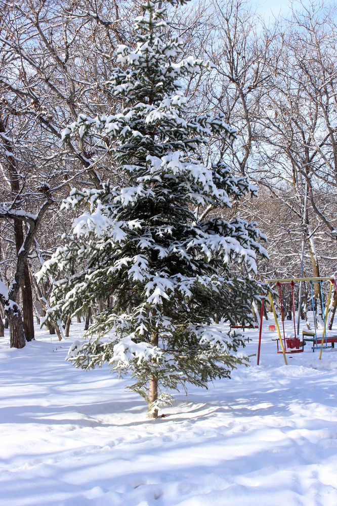 Photograph by Inessa Botasheva