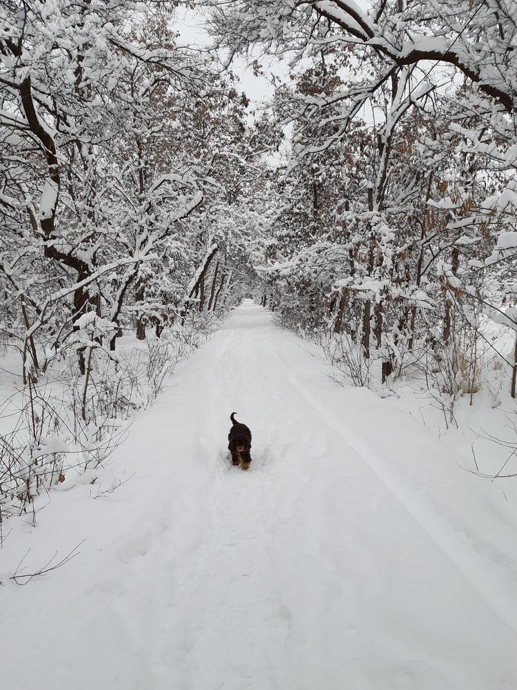 Photograph by Inessa Botasheva