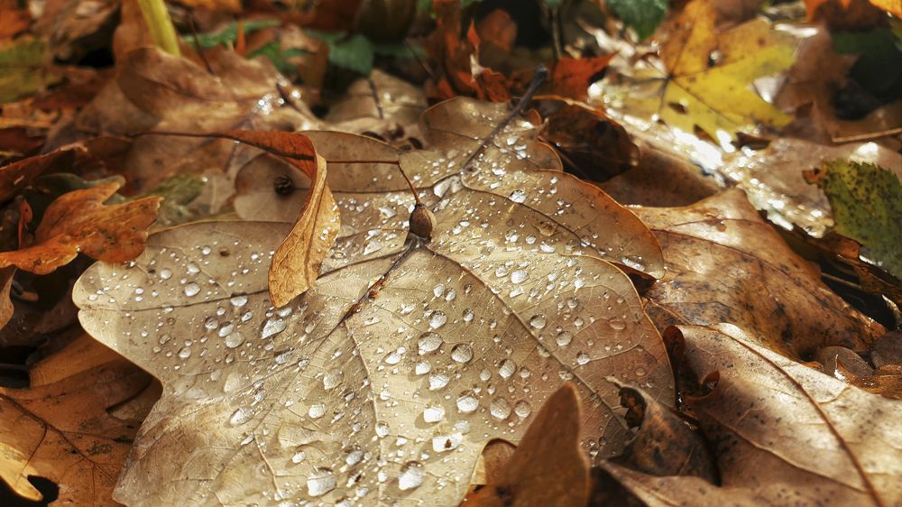 Photograph by Михаил Беляев