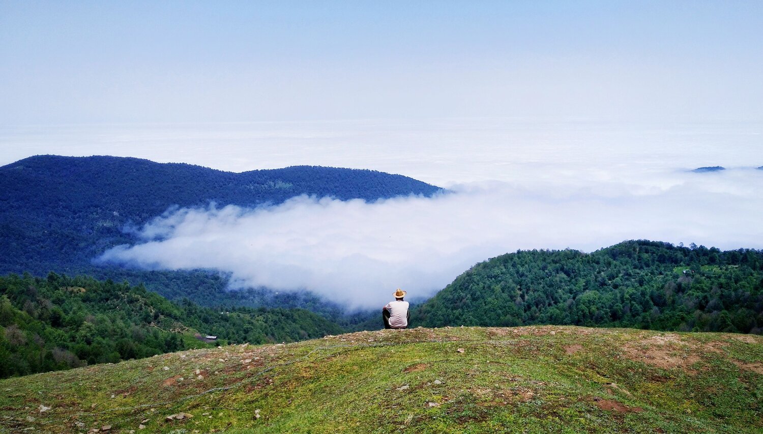 Photo #7000570