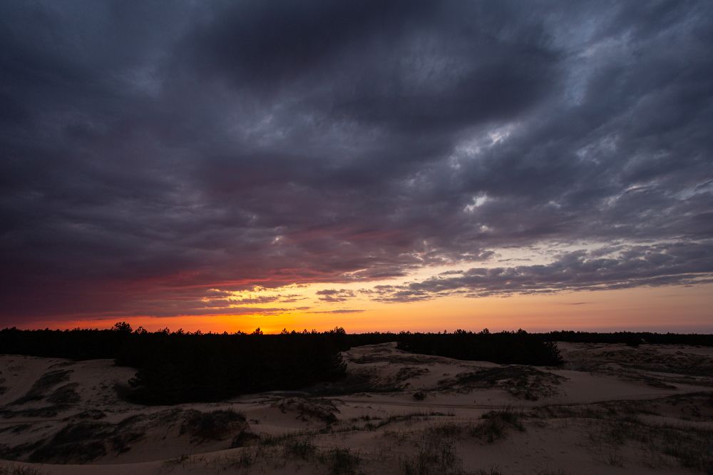 Фотография автора Дмитрий Дашкевич
