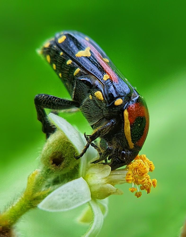 Photograph by SAIKAT PAL