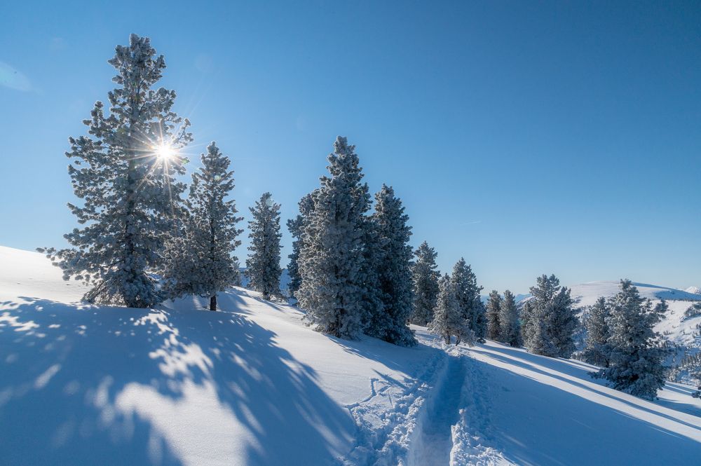 Фотография автора Екатерина Полякова