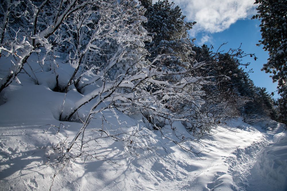 Фотография автора Екатерина Полякова