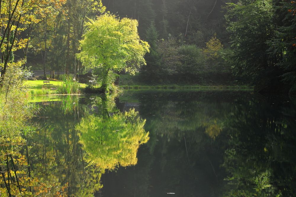 Осень в Schwarzersee, Vorarlberg