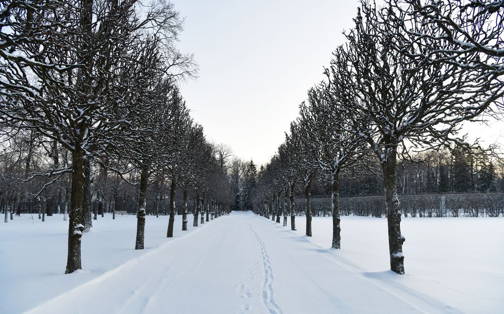 Photograph by IGOR BAITUGANOV