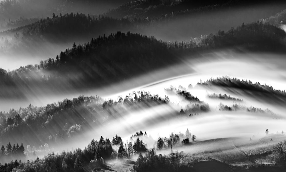 Фотография автора Rafal MAREK