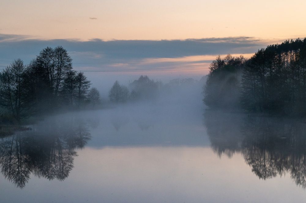 Фотография автора Екатерина Полякова