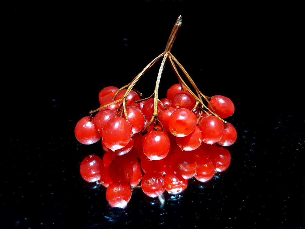 Photograph by Inessa Botasheva