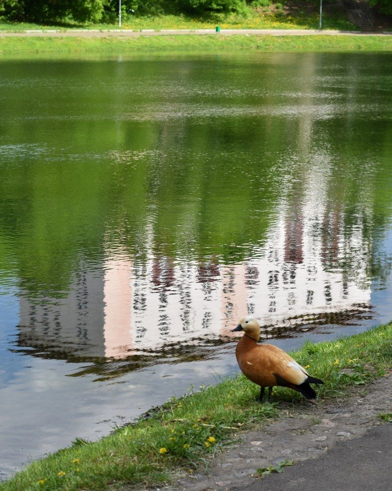 Photograph by Ксения Прохорова