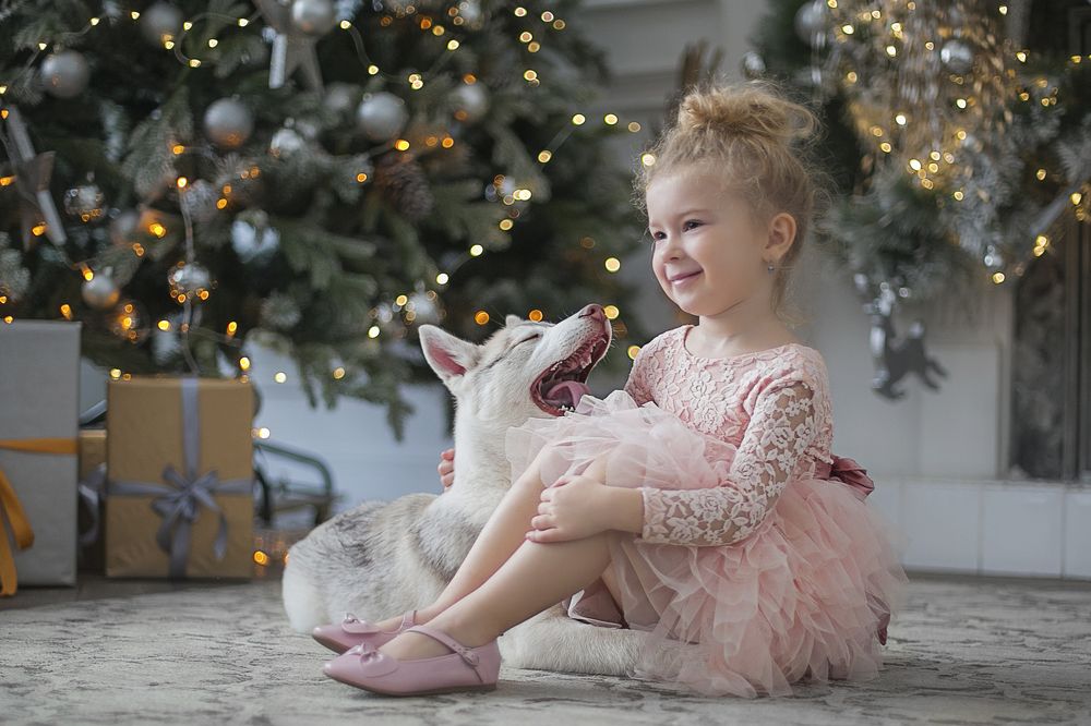 Мы ждем подарков