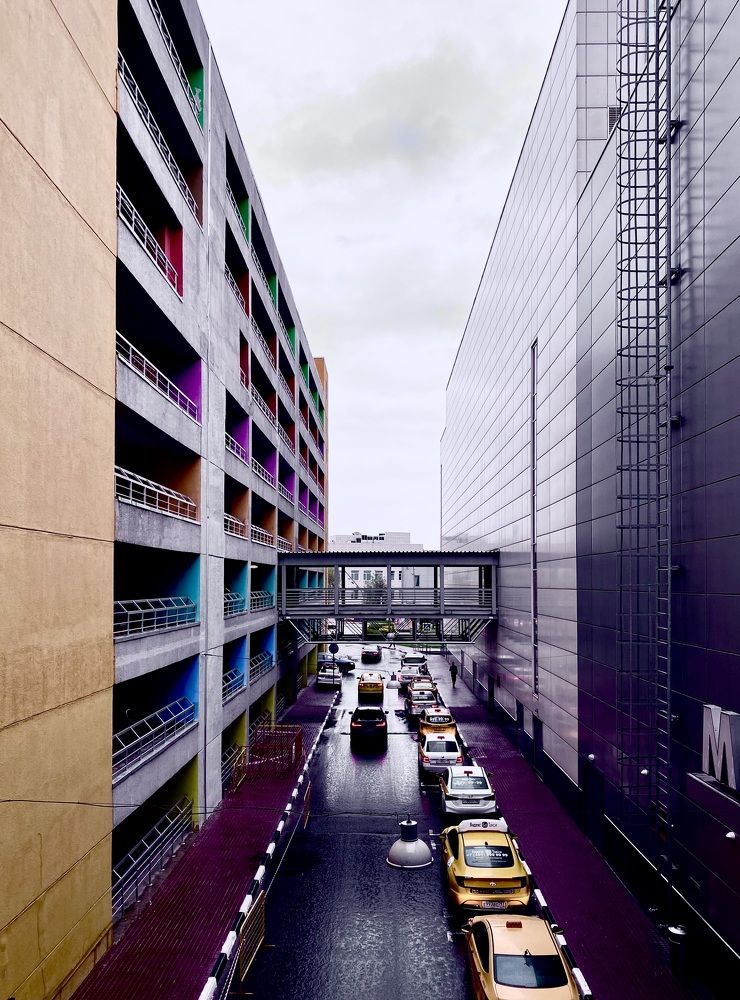 Фотография автора Елена