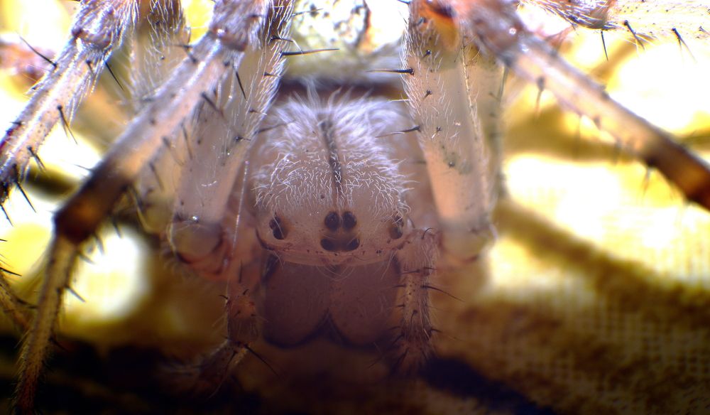 Photograph by Андрей Михайлов