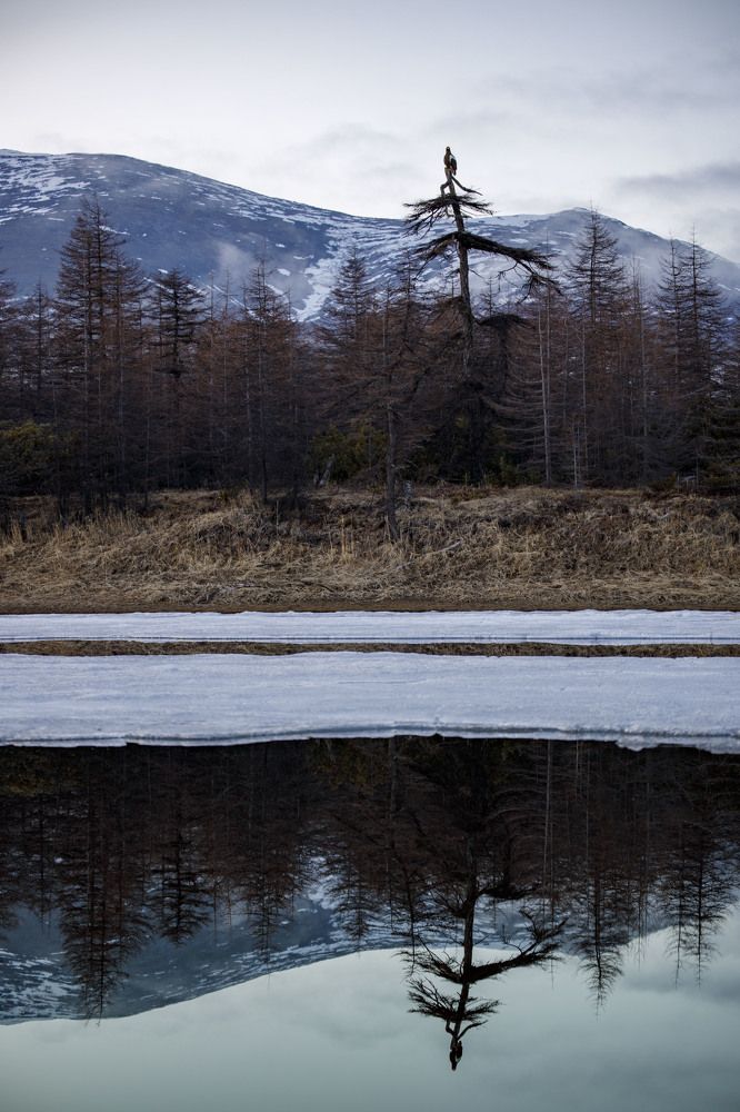 Photograph by Dmitriy Marchenko