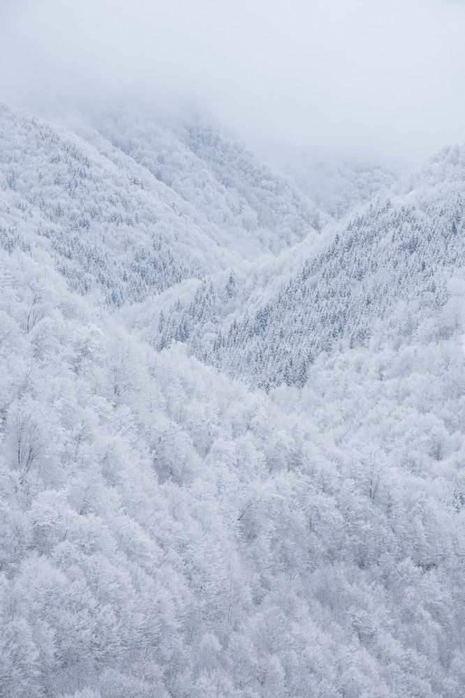 Photograph by Plesa Ioan Dan