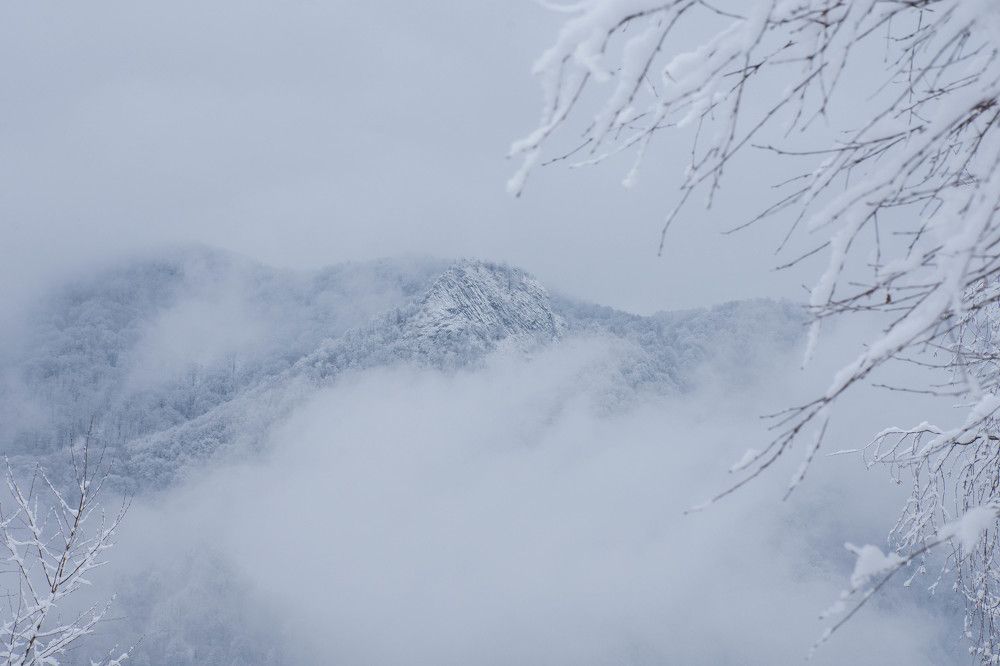 Photograph by Plesa Ioan Dan