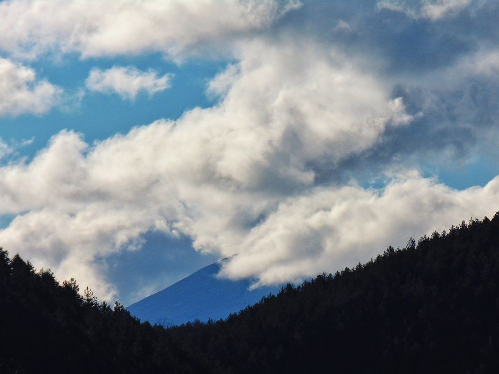 Photo #7001048