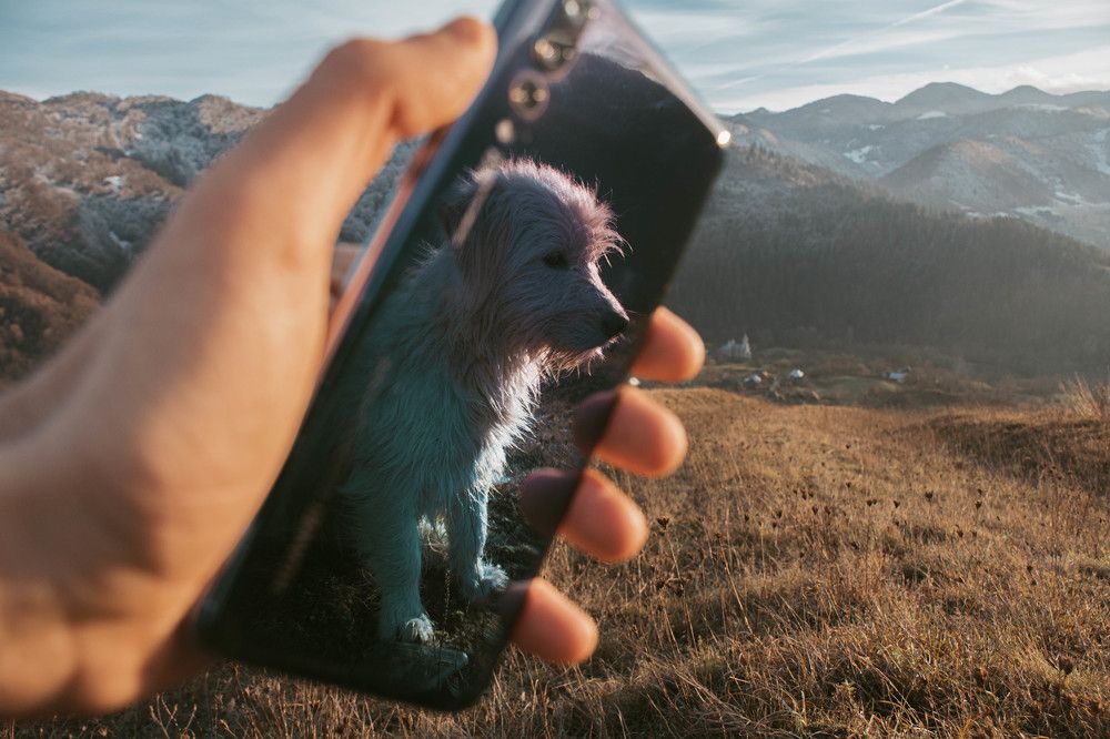 Photograph by Plesa Ioan Dan