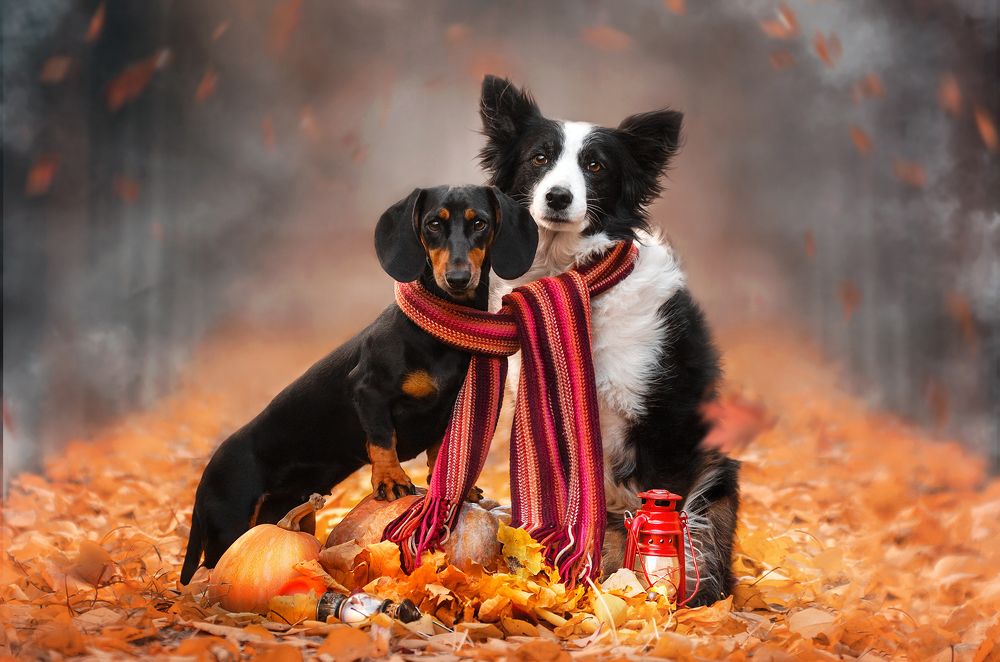 Photograph by Екатерина Кикоть