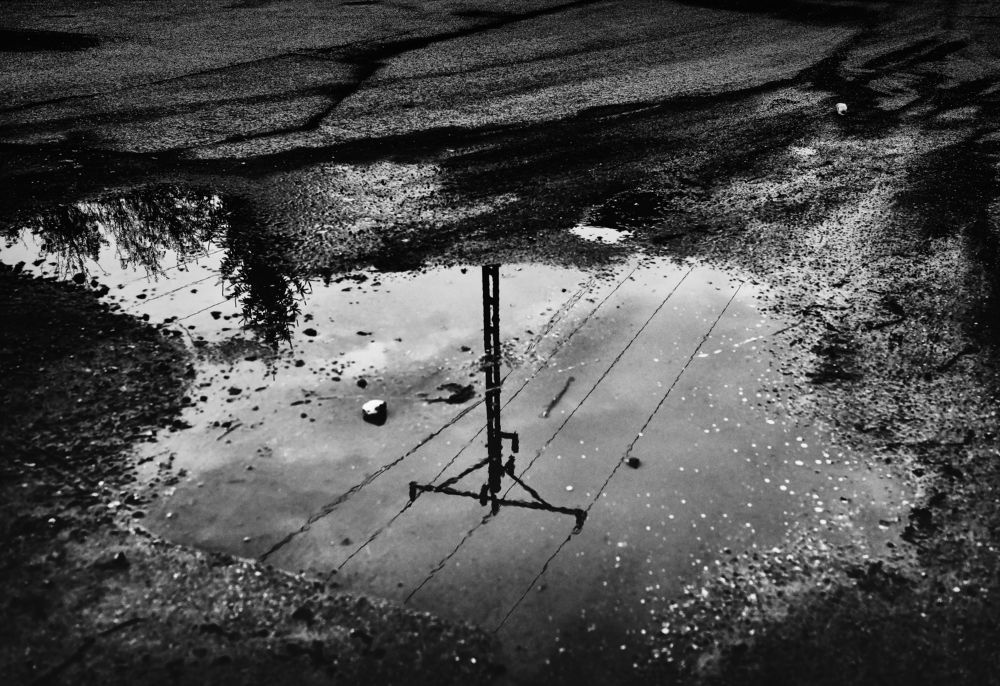 Photograph by Adam Czarniewicz