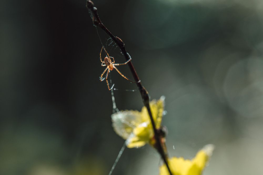 Photograph by Екатерина Аксёнова