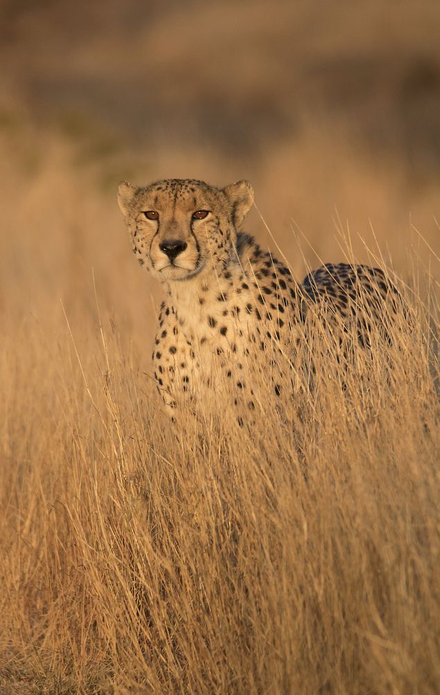 Photograph by Roberto Mayo