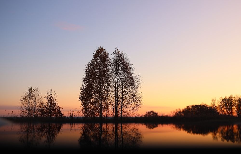 Photograph by Dmitriy Marchenko