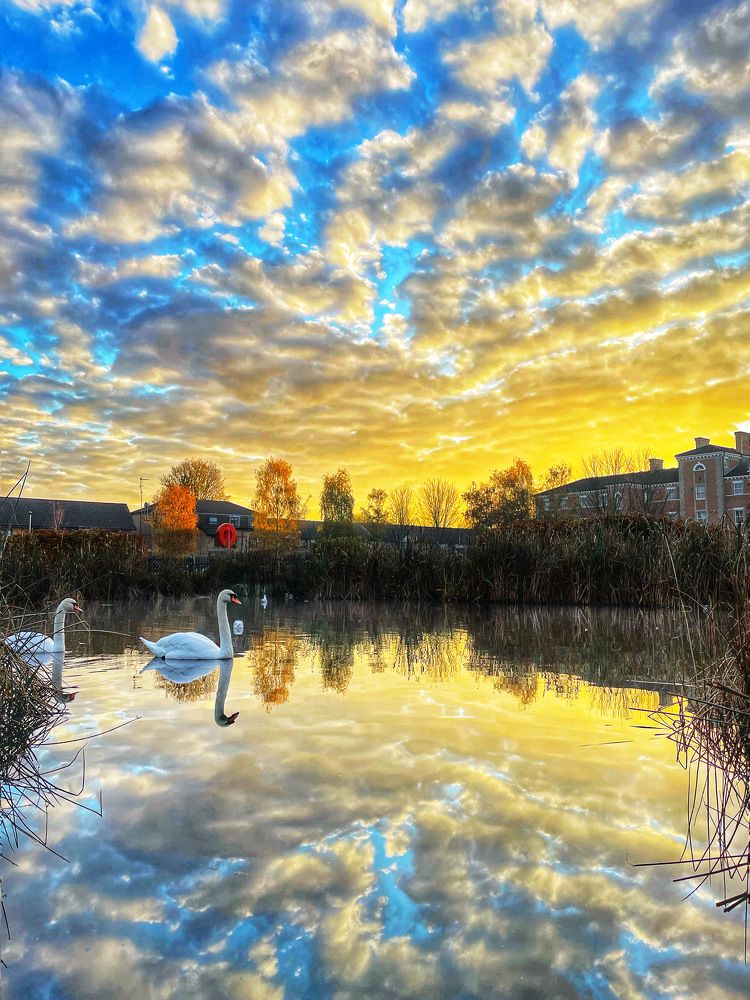 Photograph by Vera Notovich