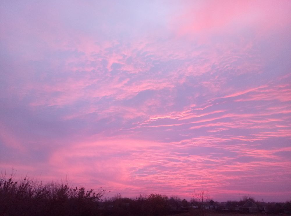 Photo #7001196