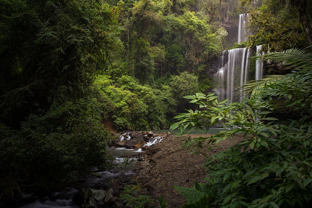 Photograph by Valdir Hobus