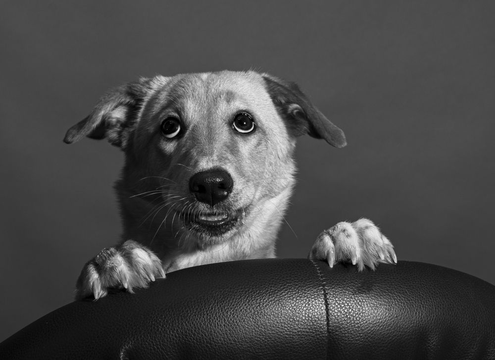 Photograph by наталья залогина