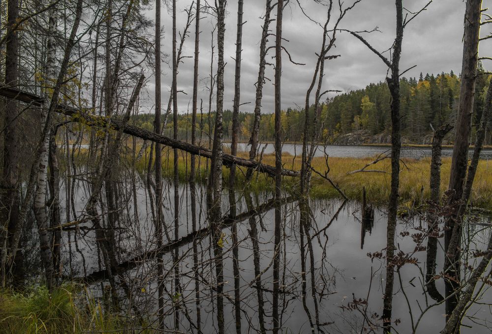 Фотография автора Антон Бразевич