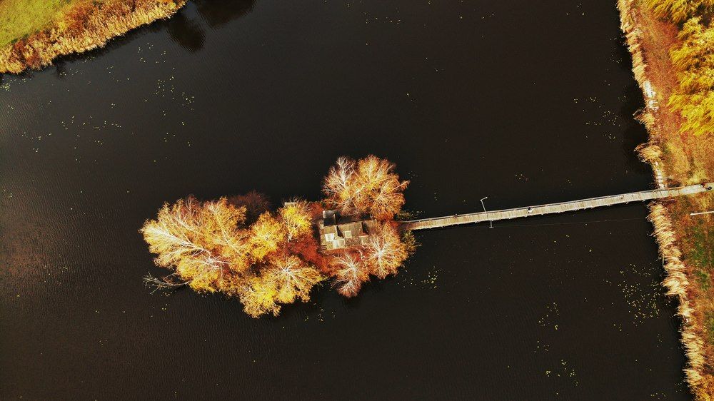 Photograph by Oleksandr Kovalevsky