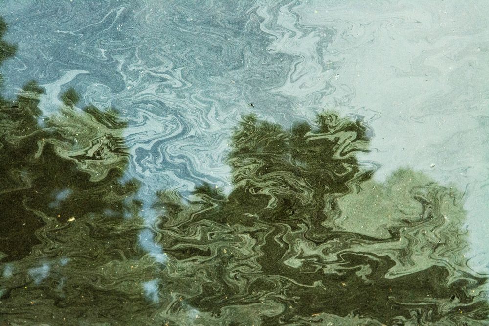 Photograph by Ilze Onzule