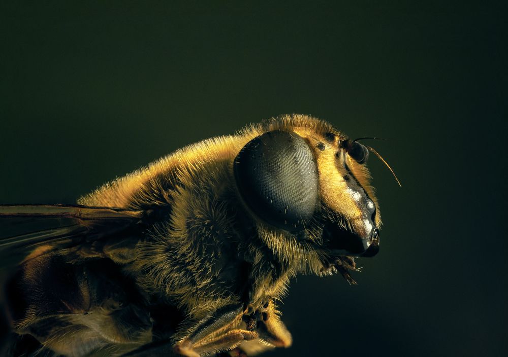 Photograph by Михаил Курихин